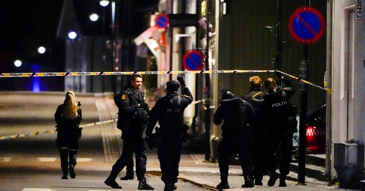 Mai mulți oameni au fost uciși și alții răniți de un bărbat înarmat cu un arc, în Norvegia