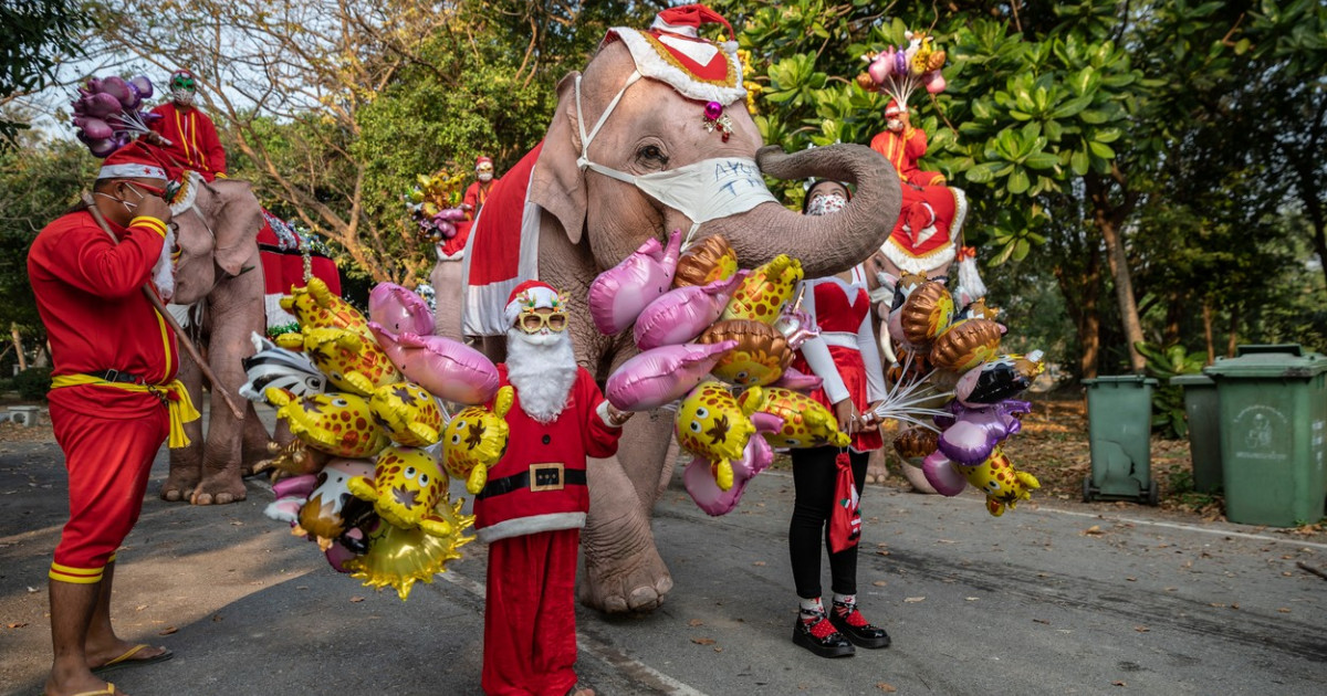 Elefanții au jucat rolul lui Moș Crăciun pentru copiii de la o școală din Thailanda