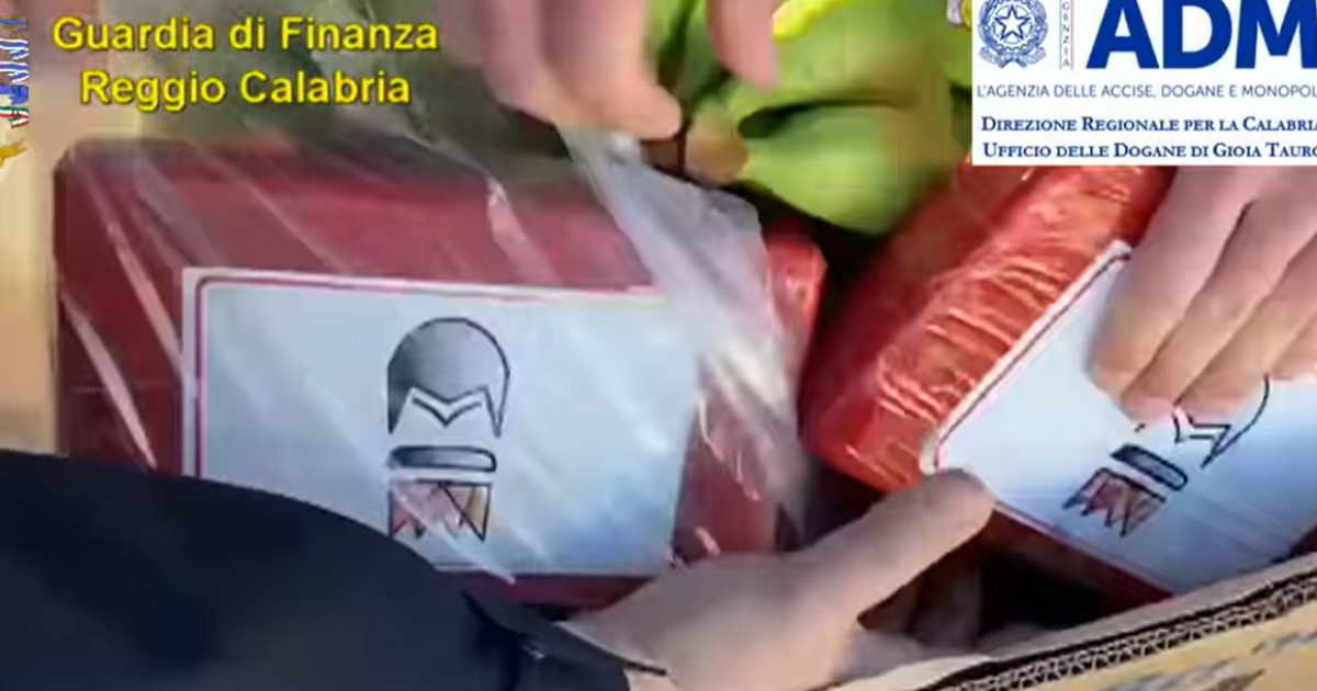 Cocaină de un miliard de euro ascunsă printre banane, descoperită într-un port din Italia, în regiunea clanului mafiot ‘Ndrangheta