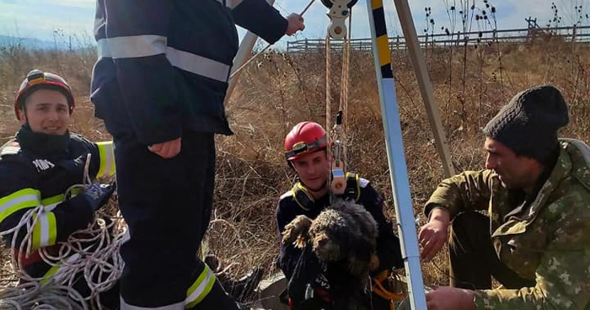Un cățel din Hunedoara a căzut într-un puț adânc de 12 metri, iar 5 pompieri s-au chinuit să-l salveze