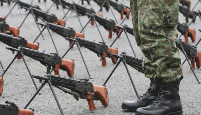 Rareș Bogdan, despre ideea chemării la arme a românilor din străinătate, în caz de război