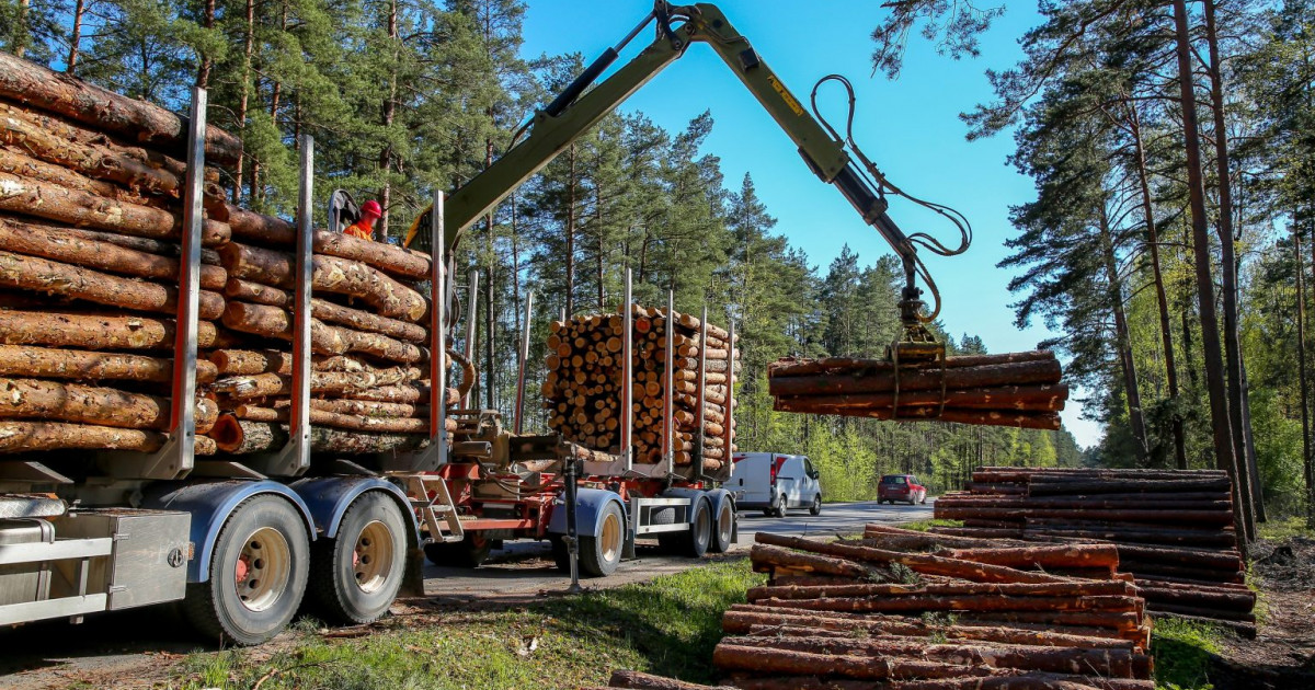 Ungaria autorizează o creştere a tăierii de lemne pentru foc, din cauza scumpirii gazului