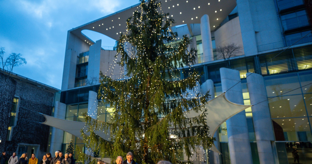 FOTO Germania face economie la energie de sărbători. Bradul de Crăciun din fața biroului lui Olaf Scholz va fi iluminat mai puțin