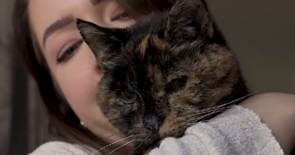 VIDEO. Cea mai bătrână pisică din lume, în Cartea Recordurilor. Ar avea echivalentul a 120 de ani la oameni