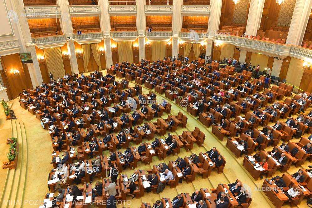 Toni Greblă și Monica Gubernat, susținerea PSD pentru AEP și CNA. Nu s-a hotărât cine merge la Curtea de Conturi