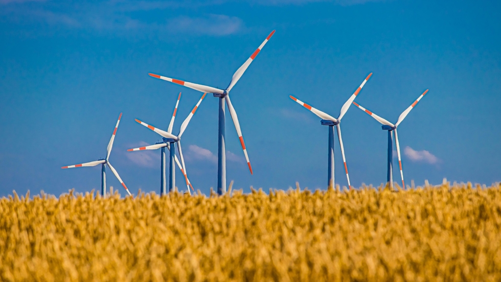 Potențialul eolian enorm din Marea Neagră, vizat de România. “Așteptările sunt să se creeze 22.000 de locuri de muncă”