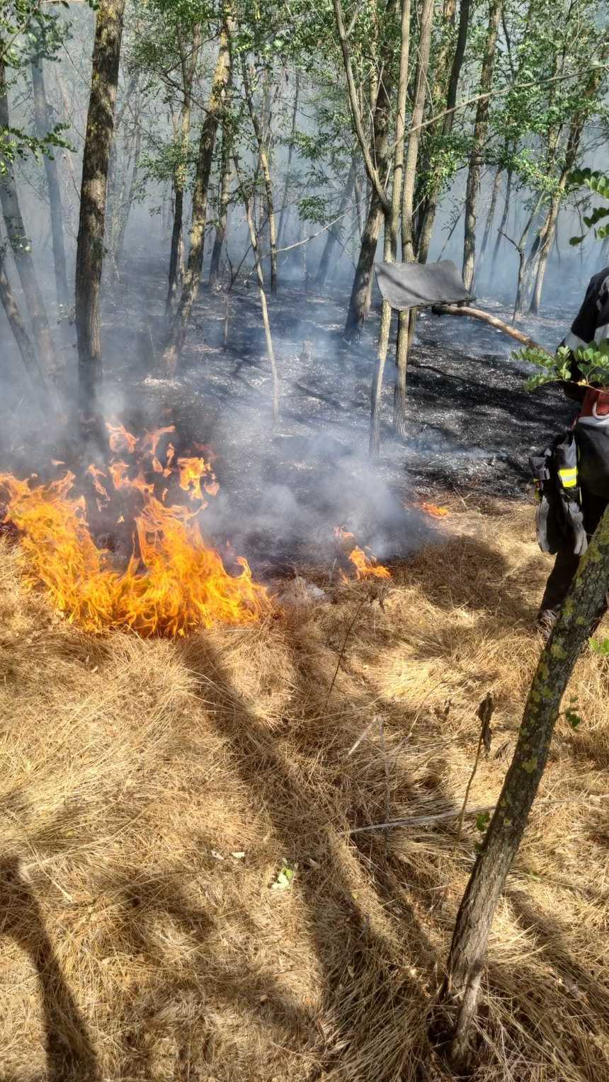 Patruzeci de pompieri și mai multe autospeciale au plecat în Franța pentru a acționa în cazul producerii unor incendii de pădure