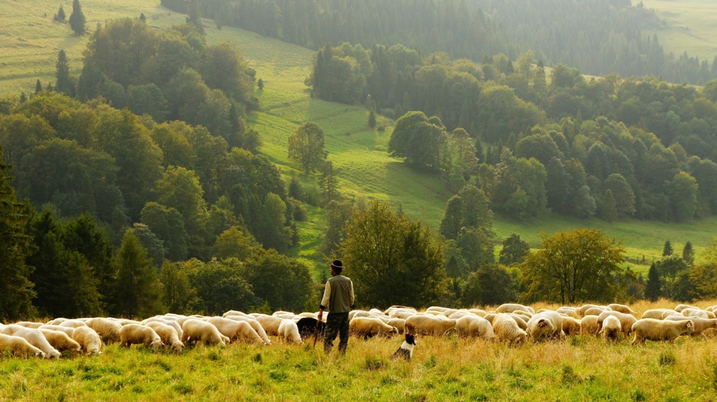 Omenirea trăiește pe datorie după ce a consumat toate resursele naturale. Care este situația României