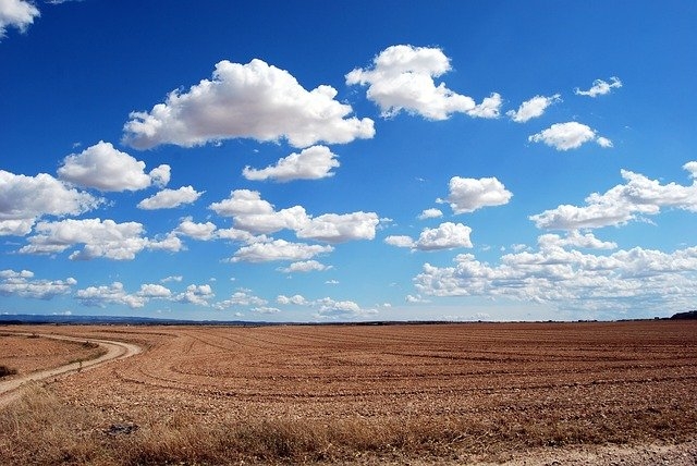 Veste bună pentru proprietarii de terenuri agricole. Se va putea realiza gratuit succesiunea la primărie