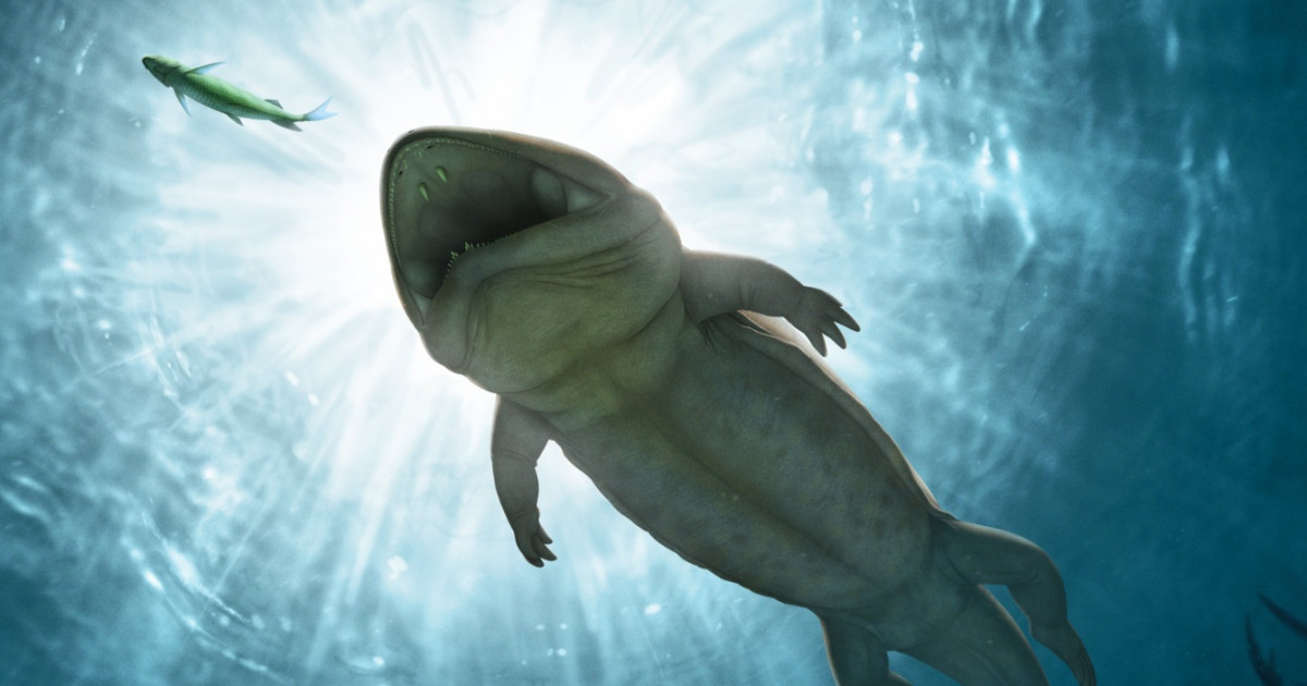 O creatură misterioasă care a trăit înaintea dinozaurilor a fost identificată la 26 de ani după descoperirea primei fosile
