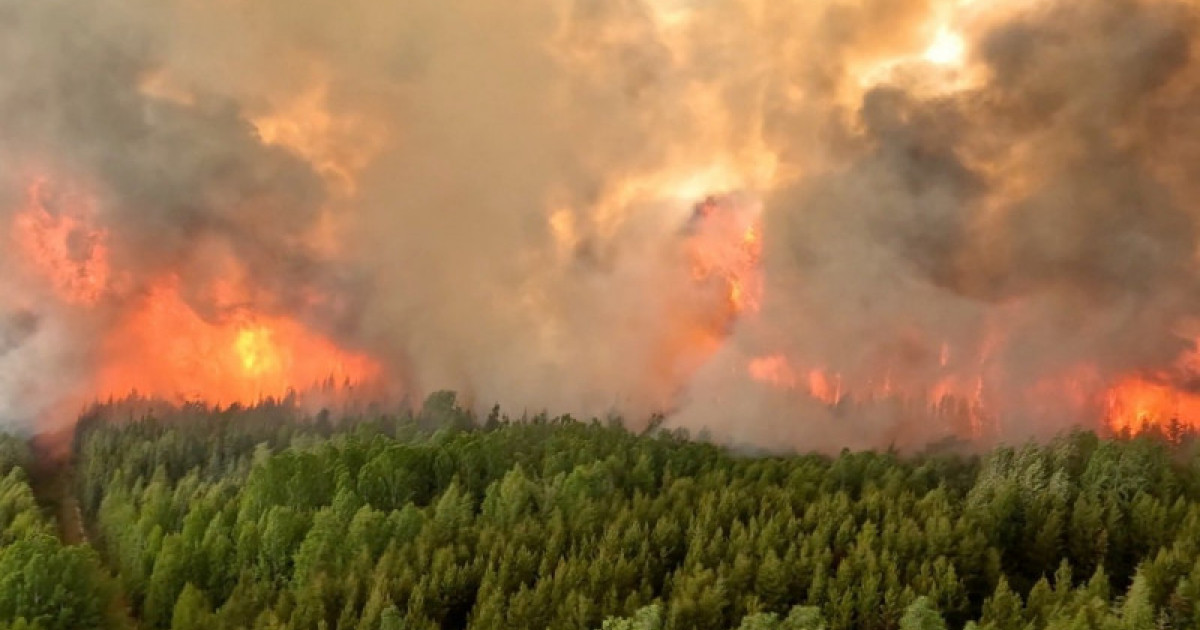 Incendiile de pădure din Canada au emis în primele șase luni mai mult dioxid de carbon decât toate avioanele din lume într-un an