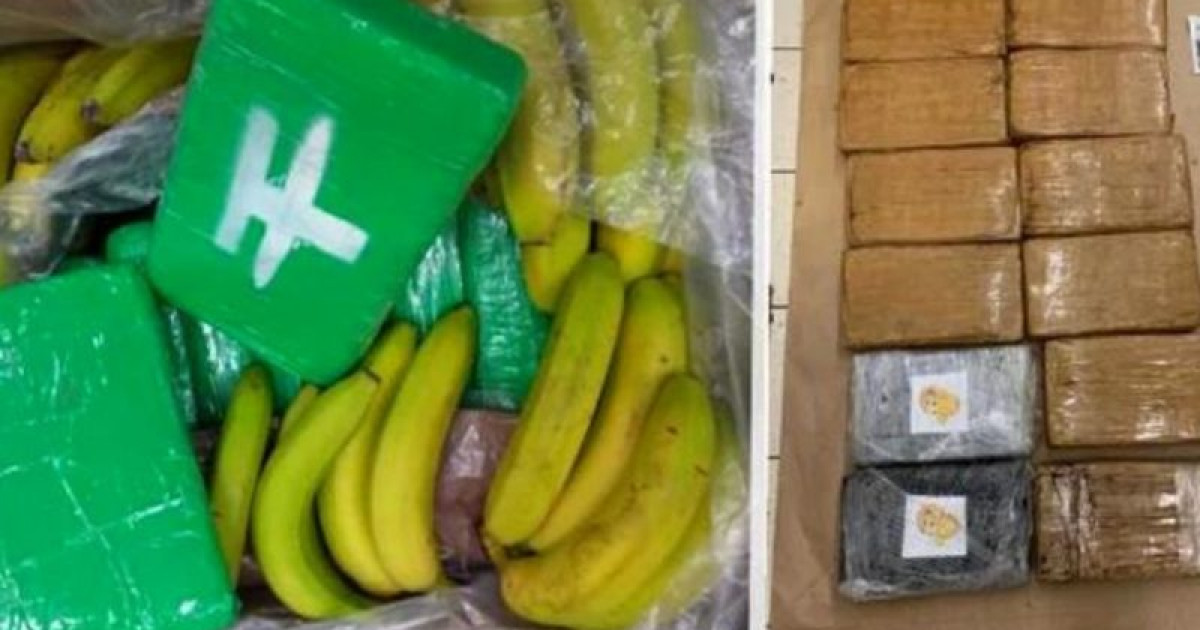 Droguri ascunse printre banane. Poliţia din Cehia a confiscat sute de kilograme de cocaină