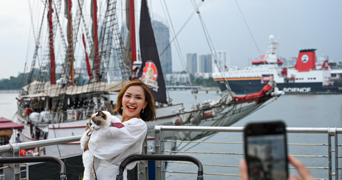 Ofertă turistică inedită în Singapore: Cât costă să te relaxezi într-o croazieră luxoasă alături de pisici