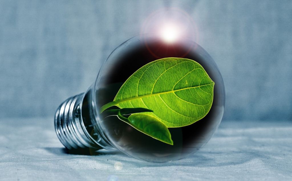 Cele mai importante investiții publice și private în energie regenerabilă în 2023. România, peste media europeană în sectorul verde