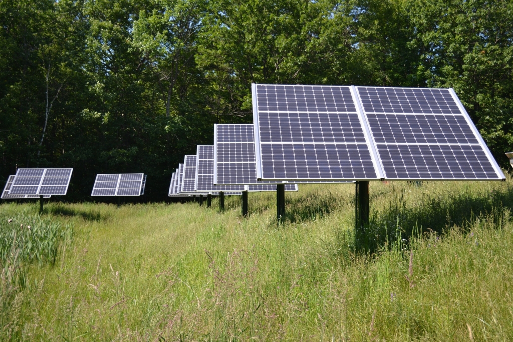 Noile contracte propuse de Guvern pentru producătorii de energie regenerabilă. Cum vor fi compensați deținătorii de parcuri eoliene și fotovoltaice care se califică